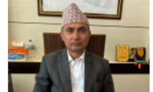 बीवाईडीको ‘कर चोरी’मा सघाएको खुलेसँगै विभाग तानिए रसुवाका प्रमुख भन्सार अधिकृतसहित चार कर्मचारी